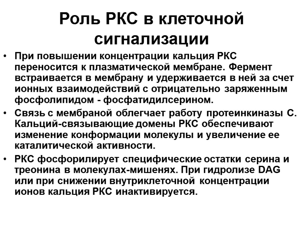 Роль РКС в клеточной сигнализации При повышении концентрации кальция РКС переносится к плазматической мембране.